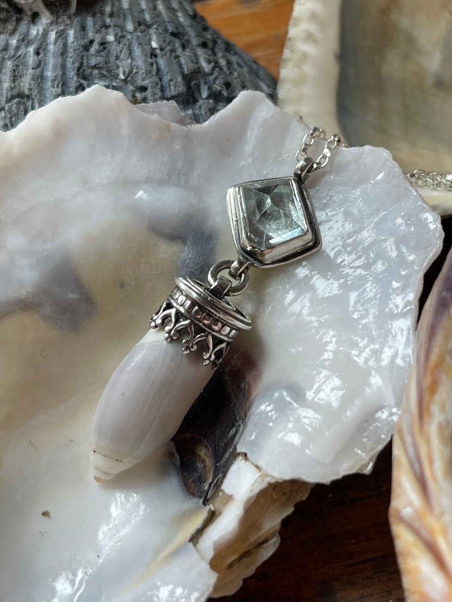 Empress of Tides • Aquamarine & Olive Shell Necklace