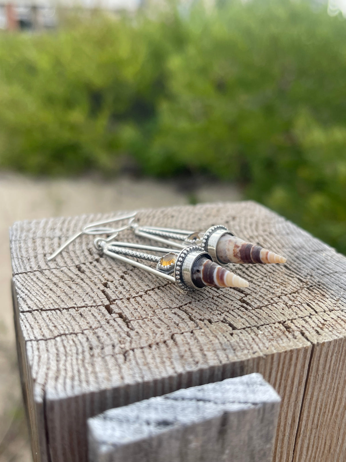 *Dunes at Dusk • Montana Agate Seashell Sterling Silver Drop Dangle Earrings