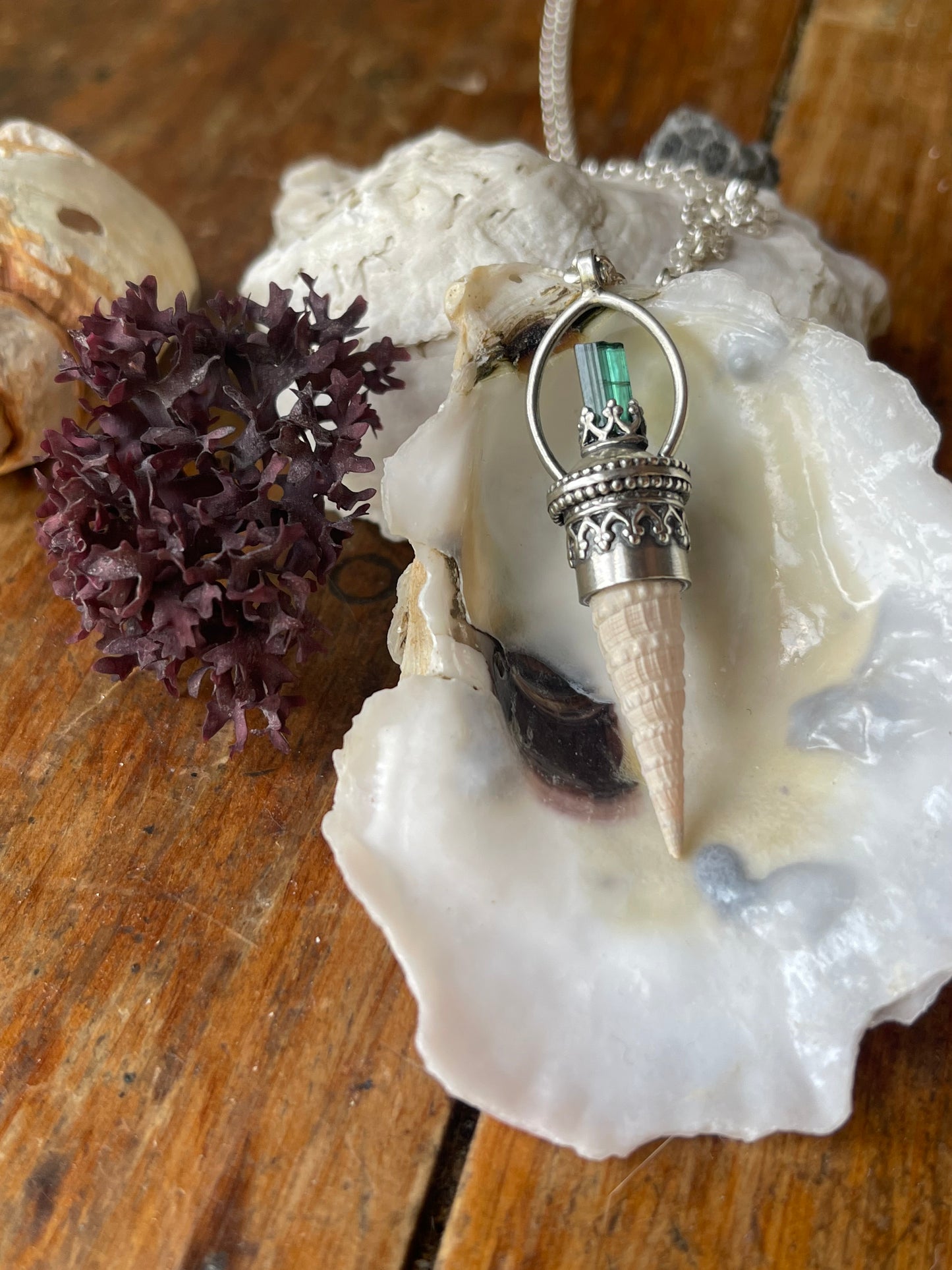 Cerulean • Watermelon Tourmaline Crystal Seashell Necklace