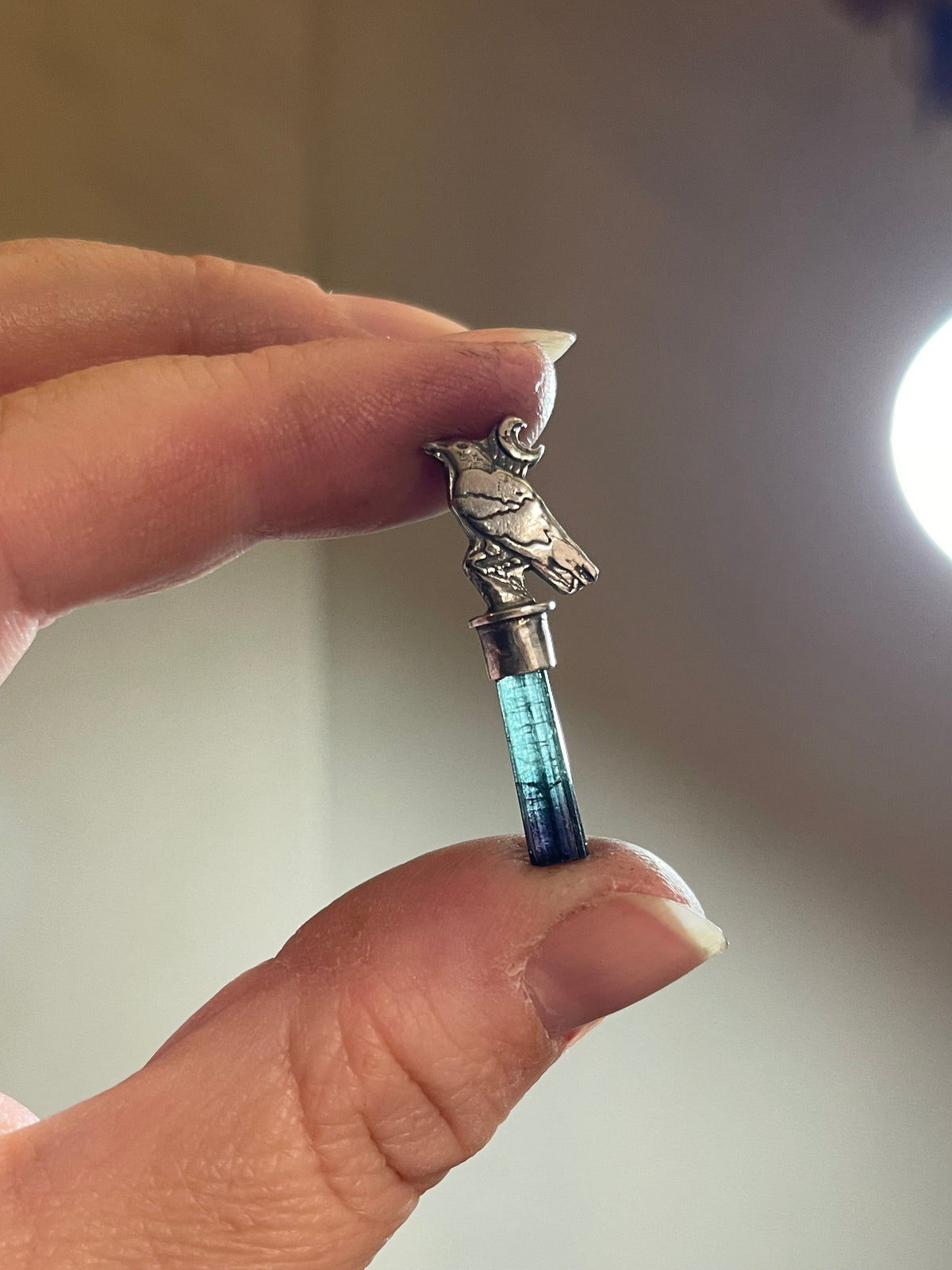 *Dark Raven • Bicolor Tourmaline Crystal Necklace • Sterling Silver