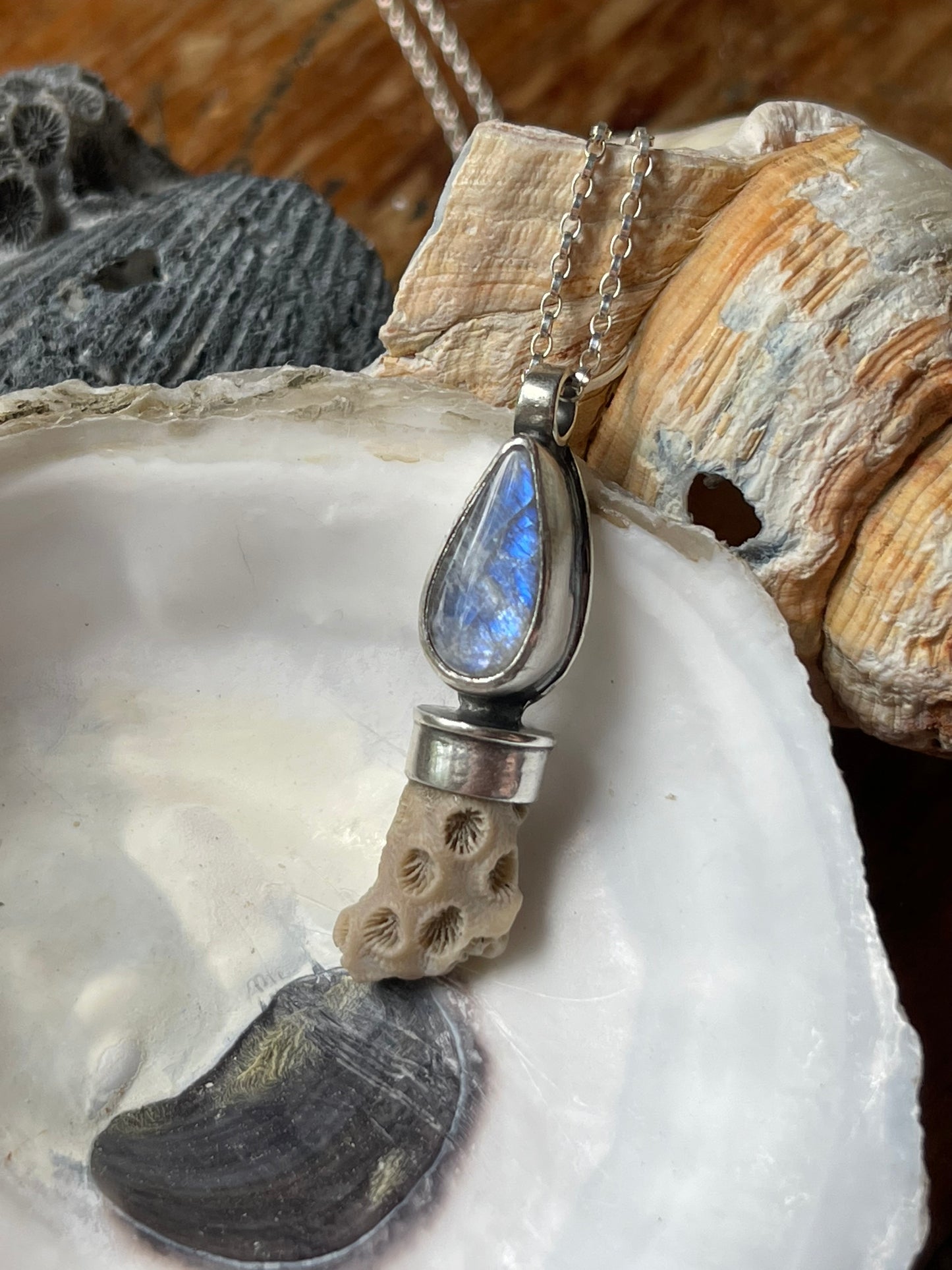 *Sand & Moon • Moonstone Quartz Fossil Charm Necklace • Sterling Silver