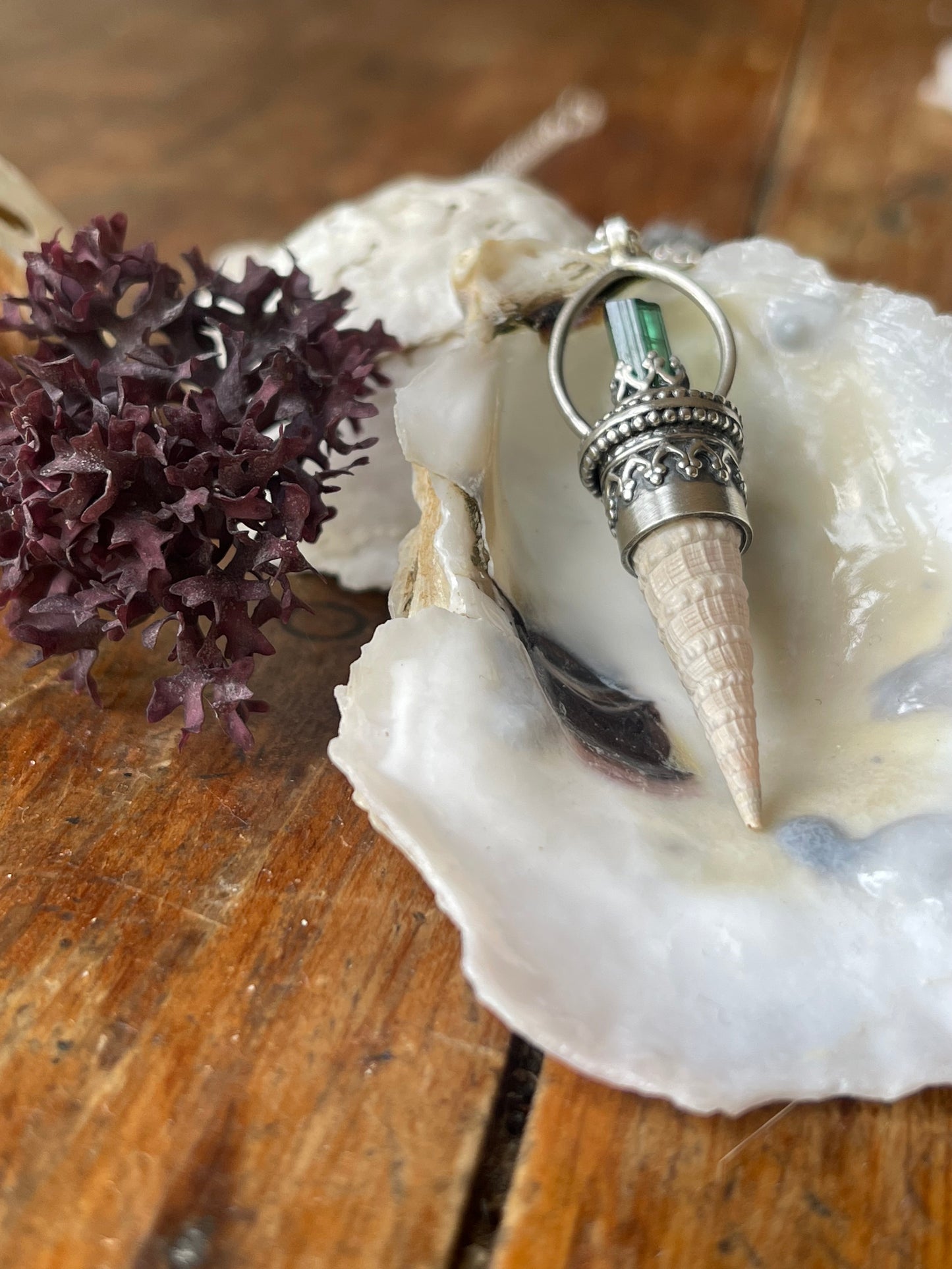 Cerulean • Watermelon Tourmaline Crystal Seashell Necklace