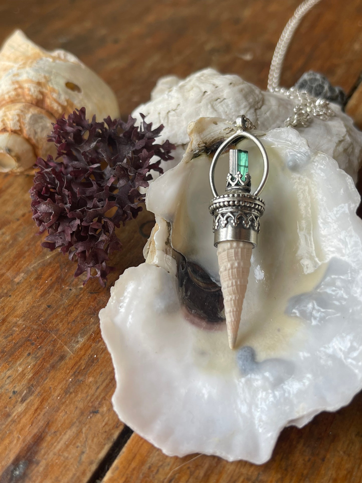 Cerulean • Watermelon Tourmaline Crystal Seashell Necklace